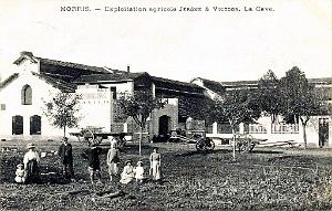 MORRIS - EXPLOITATION JEROME ET VICTOR - CAVE